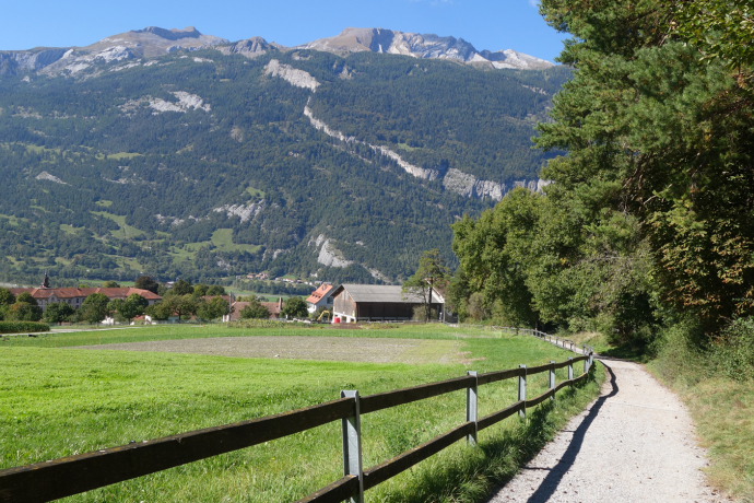 Fürstenwald with a view of Calanda Fürstenwald with a view of Calanda