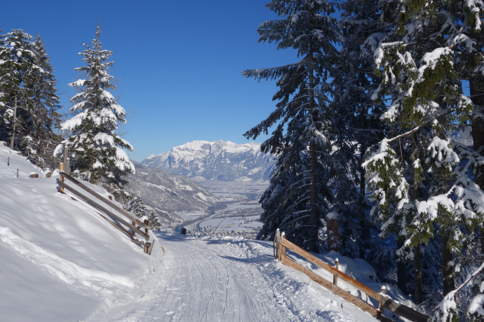 Brambrüesch - Känzeli Brambrüesch - Känzeli