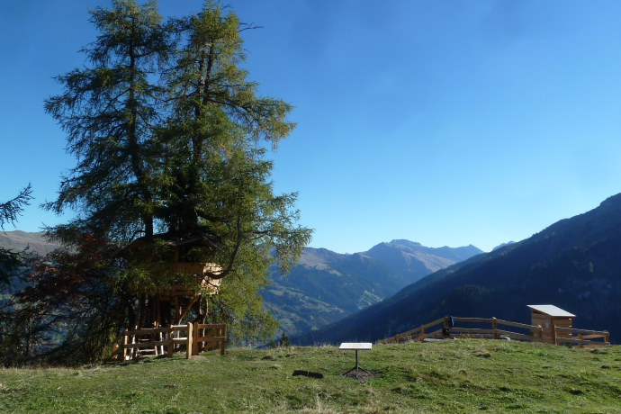 Treehouse Waldstafel Treehouse Waldstafel