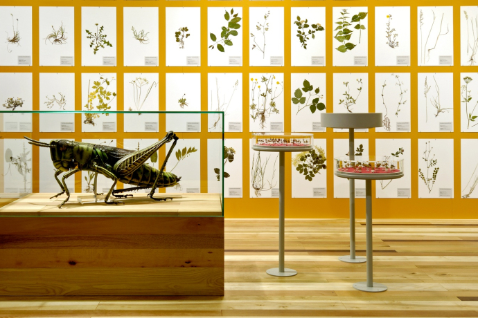 Graubünden Museum of Nature Graubünden Museum of Nature