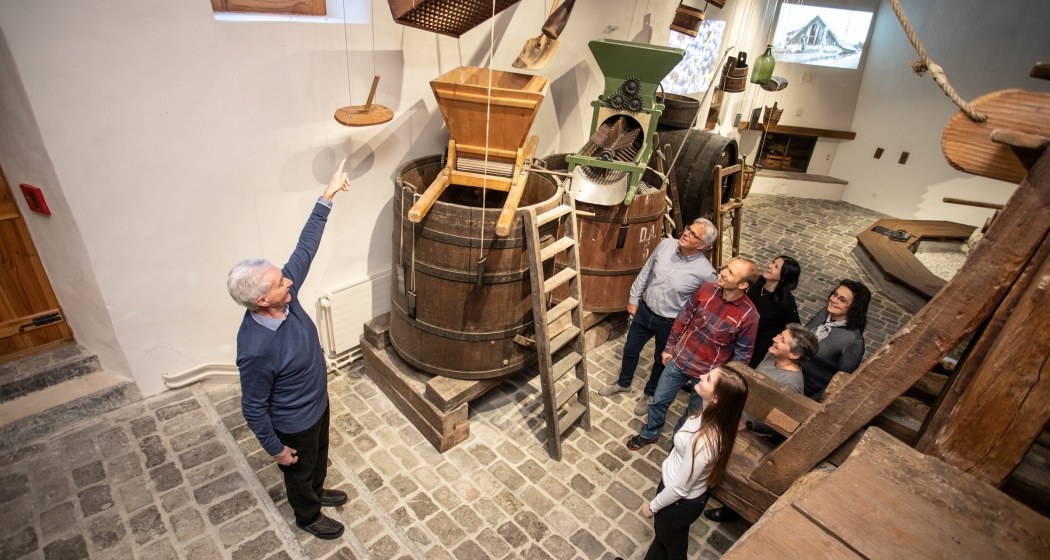 Stadtführungen: Wein(ver)führung