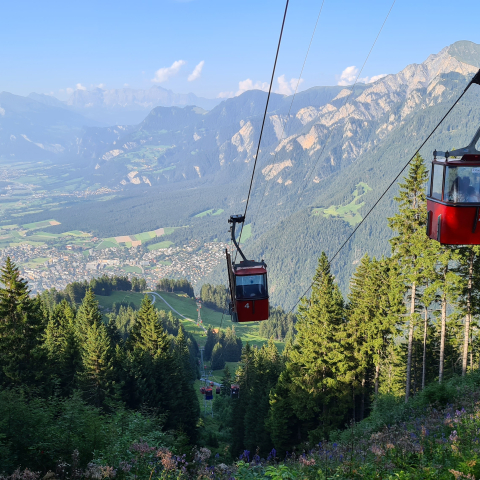 bergbahnen_brambruesch_kaenzeli_gondel-sommer_CT (14).jpg