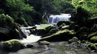 rabiosa_schlucht_passugg.jpg