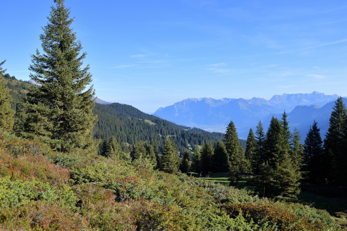 wandern_brambruesch_pradaschier_claudiogodenzi_2.jpg