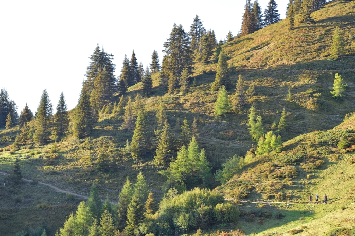 wandern_brambruesch_pradaschier_claudiogodenzi_3.jpg