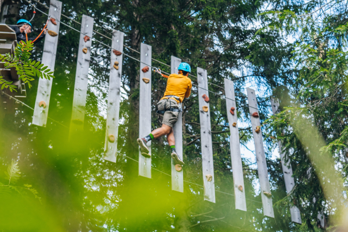 Rope park (© Andrea Furger) Person wearing a helmet and harness climbs a vertical forest adventure course, surrounded by tall trees
